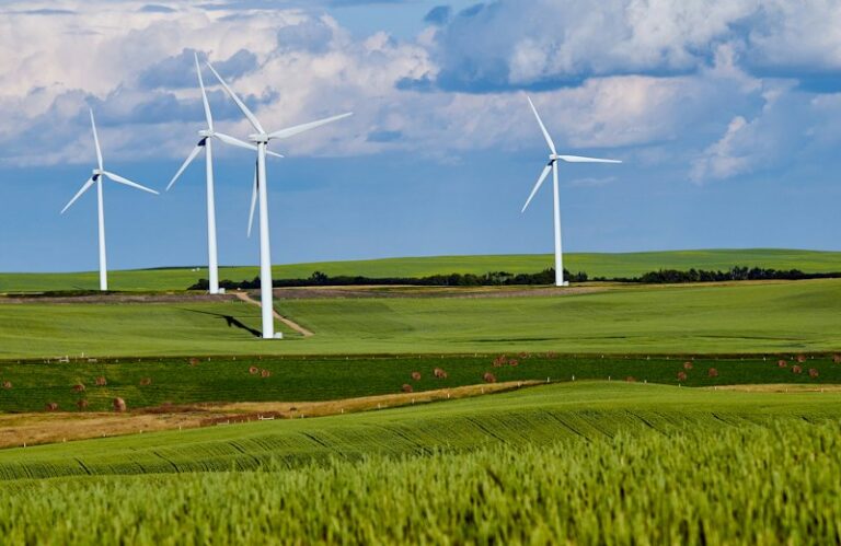 Sustainable Investing Year in Review